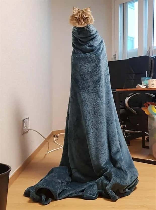 Klyker Picdump #1562 (42 photos)