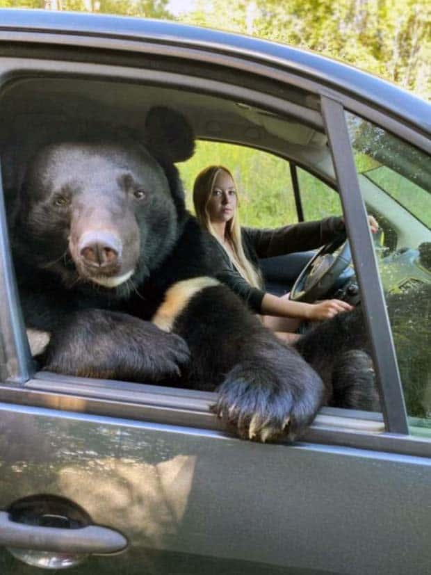 Klyker Picdump #1562 (42 photos)