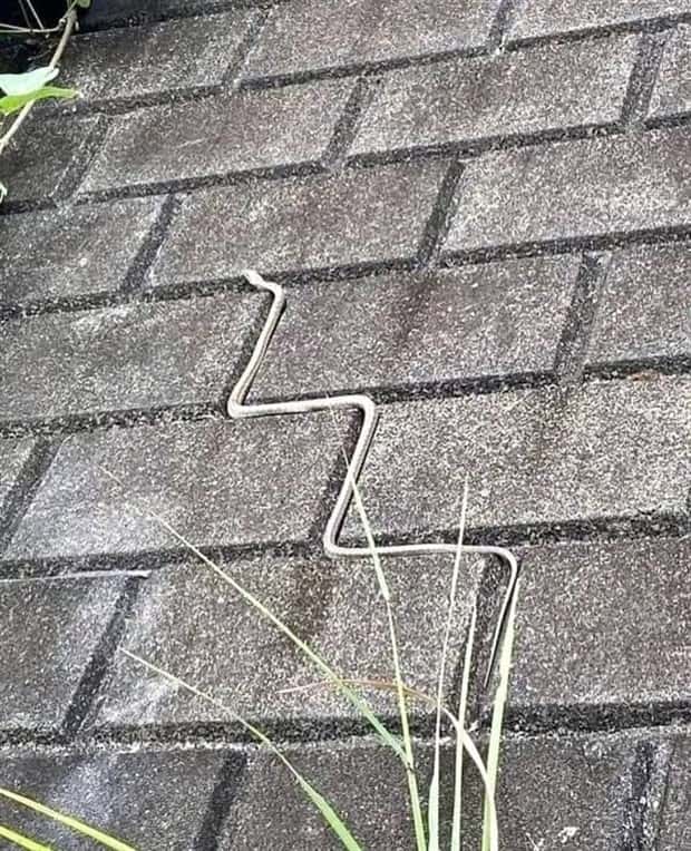 Klyker Picdump #1562 (42 photos)