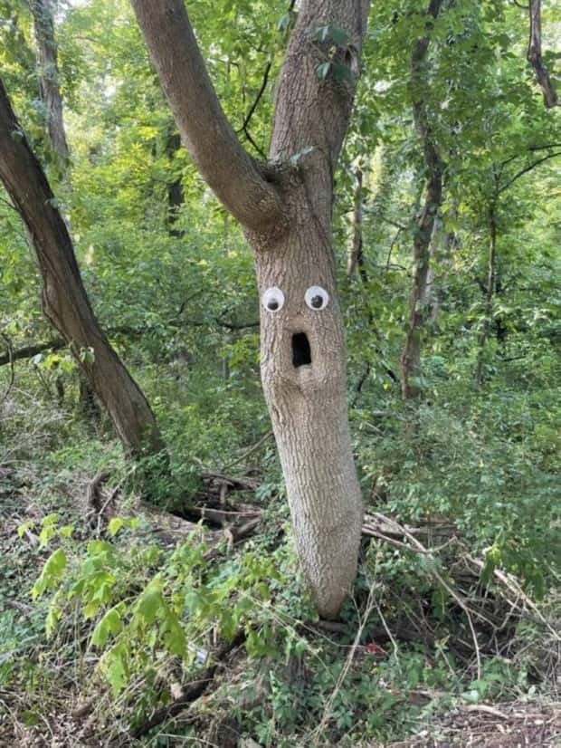 Klyker Picdump #1562 (42 photos)