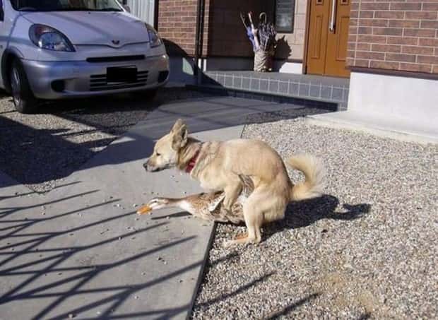 Klyker Picdump #1562 (42 photos)