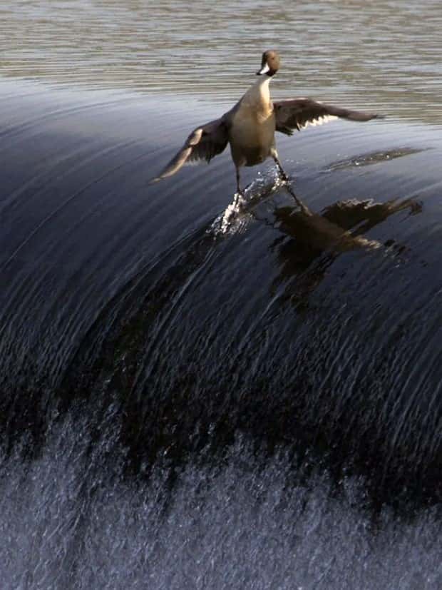 Klyker Picdump #1562 (42 photos)