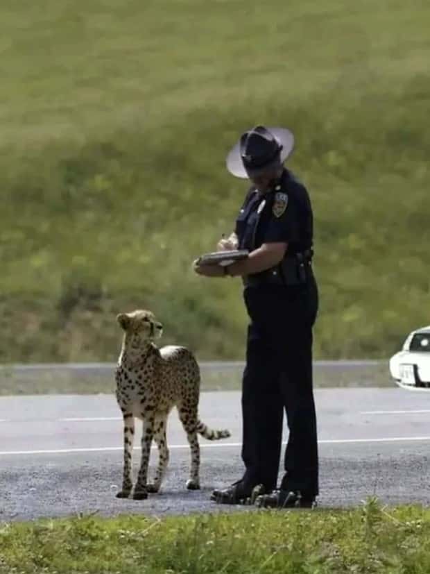 Klyker Picdump #1562 (42 photos)