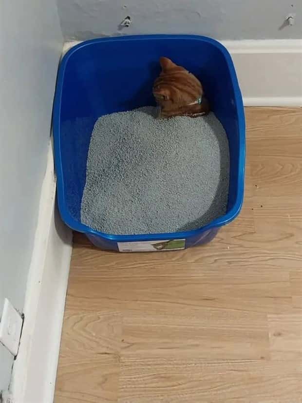 Klyker Picdump #1562 (42 photos)