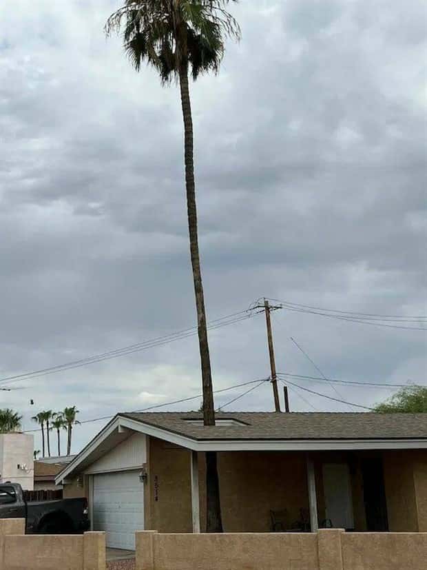 Klyker Picdump #1569 (44 photos)