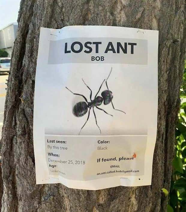 Klyker Picdump #1569 (44 photos)