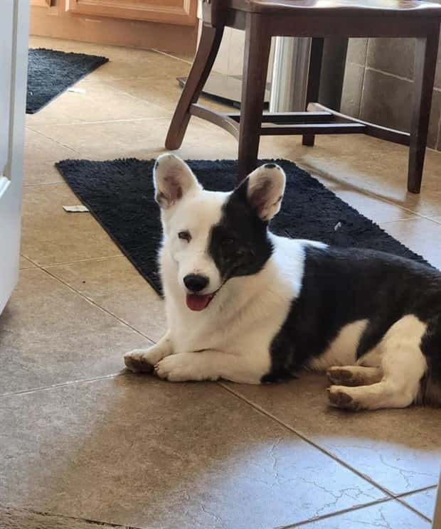 Klyker Picdump #1572 (42 photos)