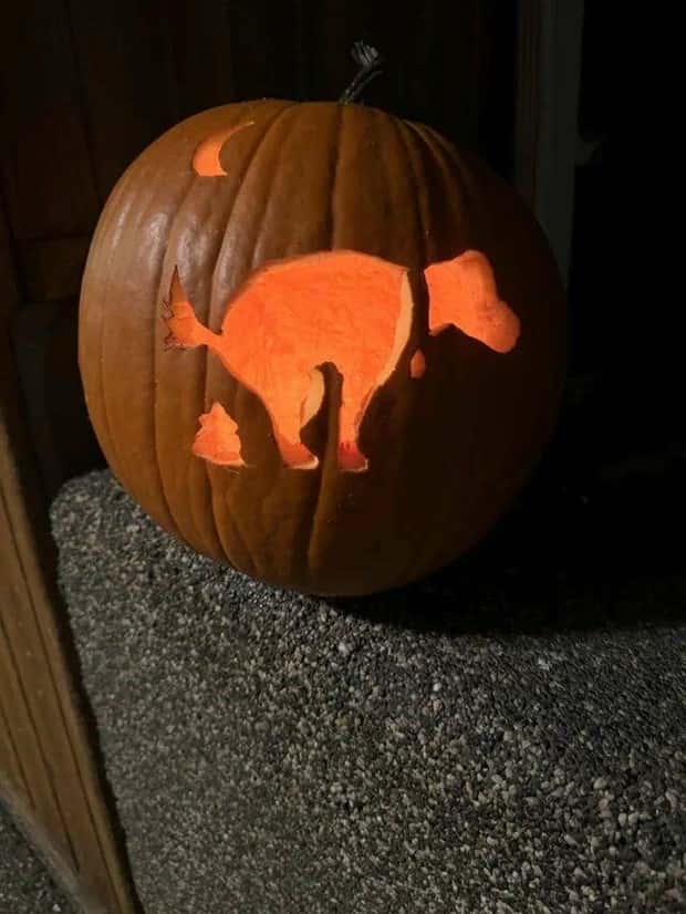 Klyker Picdump #1572 (42 photos)