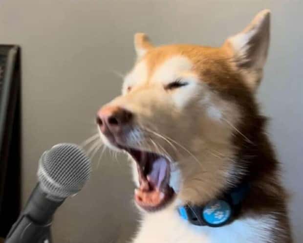 Klyker Picdump #1572 (42 photos)