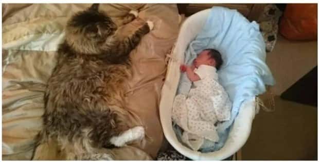 Klyker Picdump #1572 (42 photos)