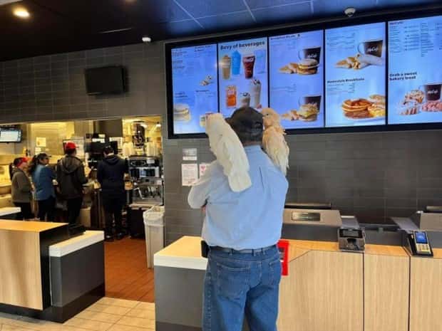 Klyker Picdump #1572 (42 photos)