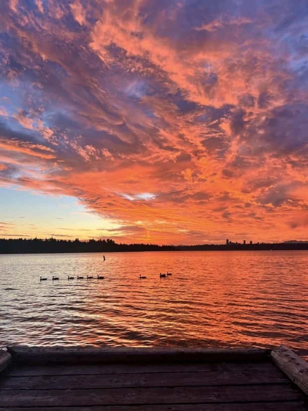 Klyker Picdump #1573 (43 photos)