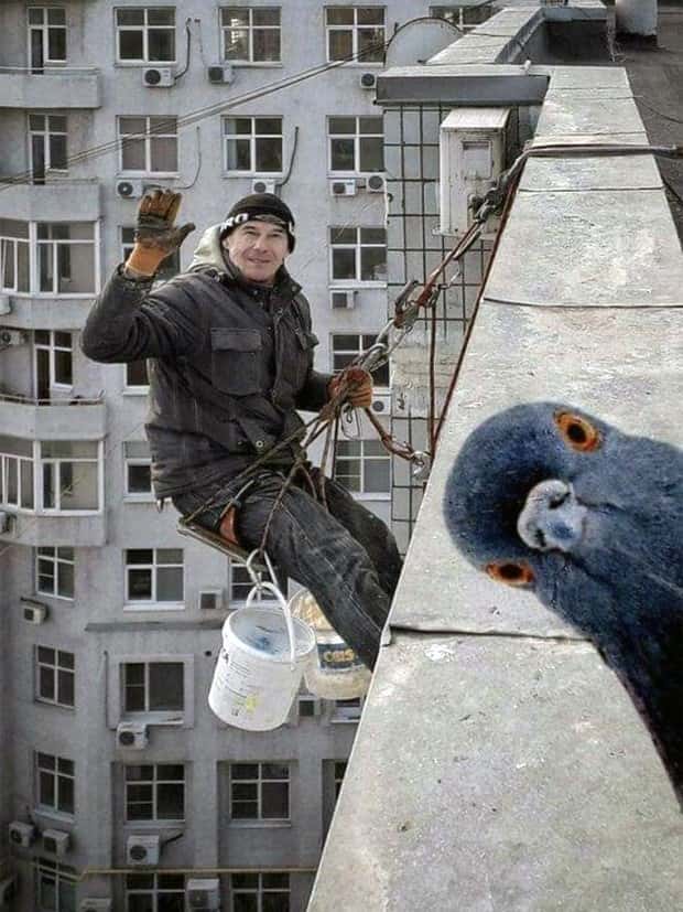 Klyker Picdump #1573 (43 photos)