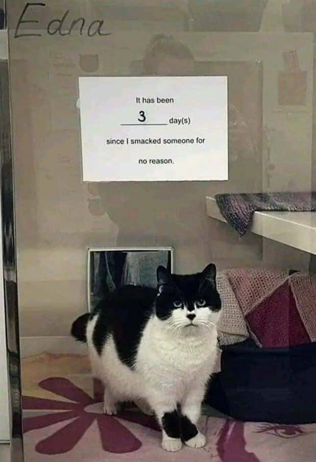 Klyker Picdump #1573 (43 photos)