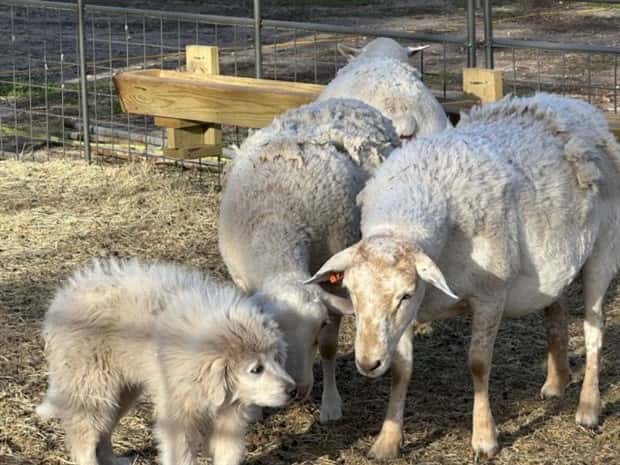 Klyker Picdump #1573 (43 photos)