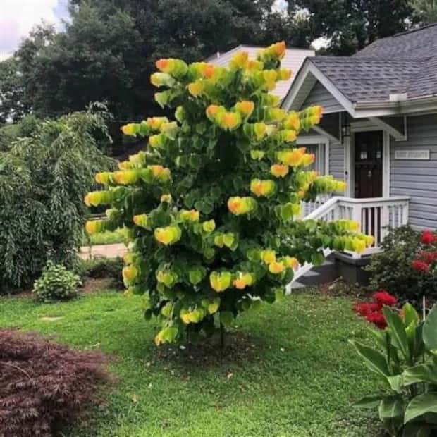 klyker picdump 10 2 2024 20 Klyker Picdump #1563 (43 photos)