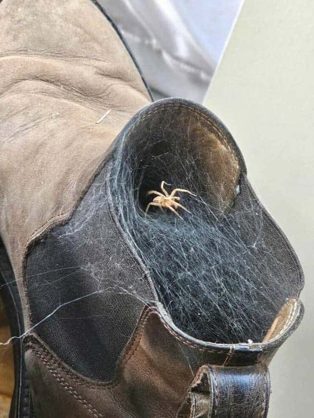 klyker picdump 10 2 2024 35 Klyker Picdump #1563 (43 photos)