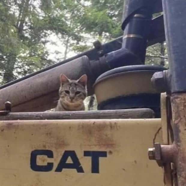 klyker picdump 10 2 2024 43 Klyker Picdump #1563 (43 photos)