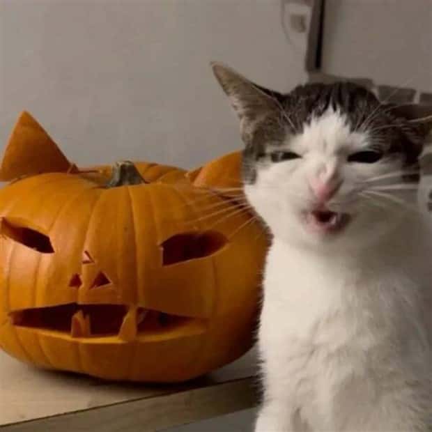 Klyker Picdump #1576 (41 photos)