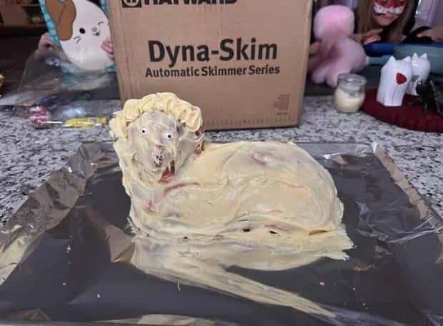 klyker picdump 10 22 2024 15 Klyker Picdump #1577 (42 photos)