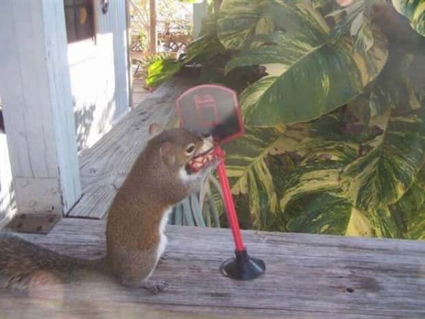 klyker picdump 10 22 2024 17 Klyker Picdump #1577 (42 photos)