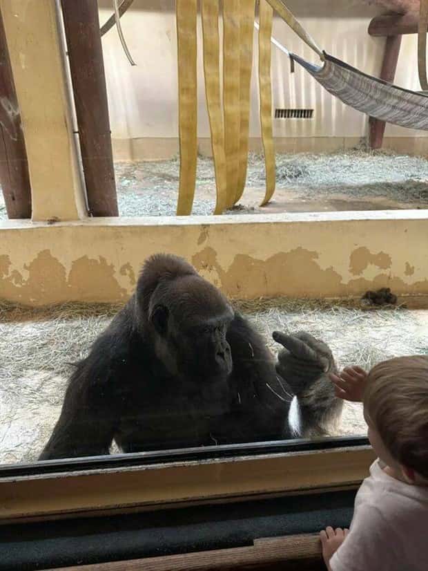 klyker picdump 10 22 2024 25 Klyker Picdump #1577 (42 photos)