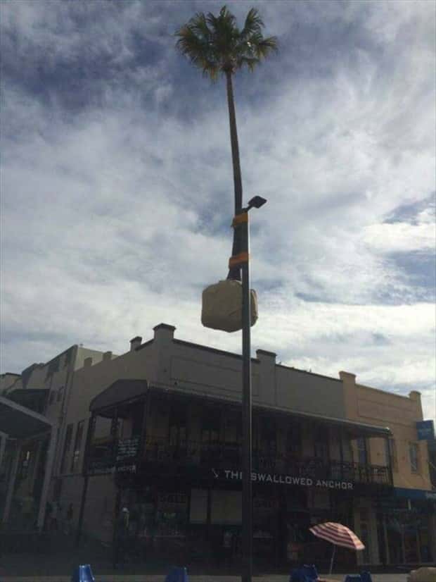 klyker picdump 10 22 2024 33 Klyker Picdump #1577 (42 photos)