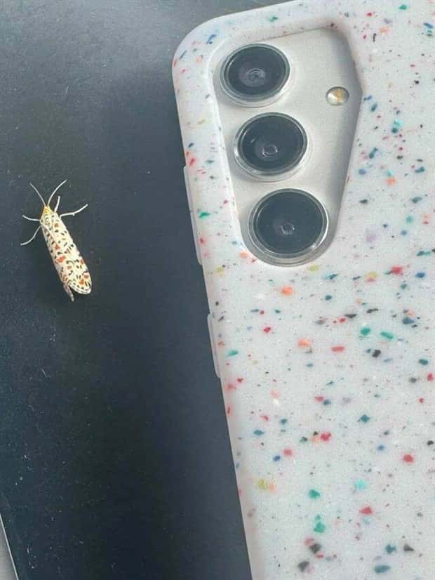 klyker picdump 10 22 2024 41 Klyker Picdump #1577 (42 photos)