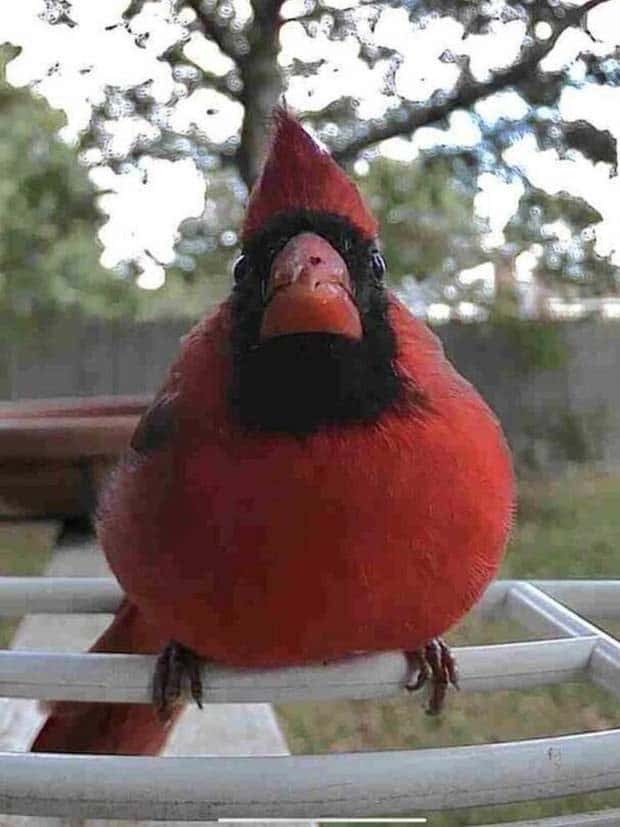 Klyker Picdump #1564 (44 photos)