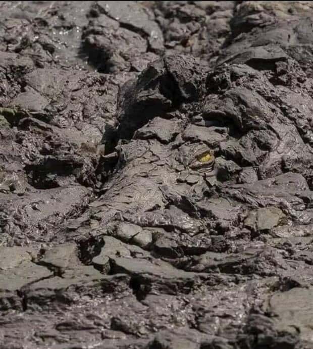 Klyker Picdump #1564 (44 photos)