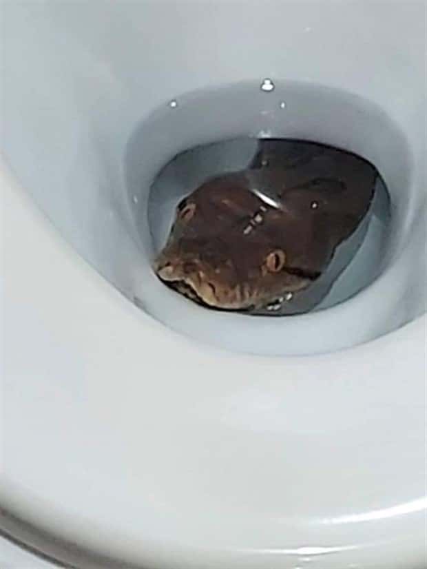 Klyker Picdump #1564 (44 photos)