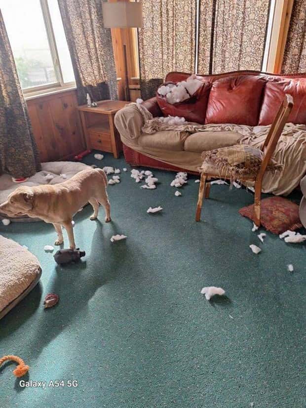 Klyker Picdump #1564 (44 photos)