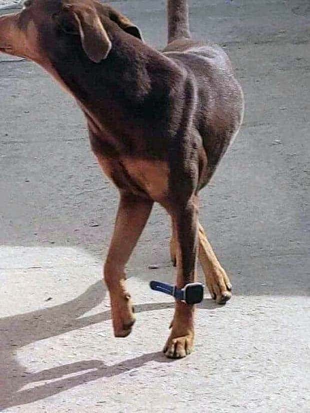 Klyker Picdump #1564 (44 photos)