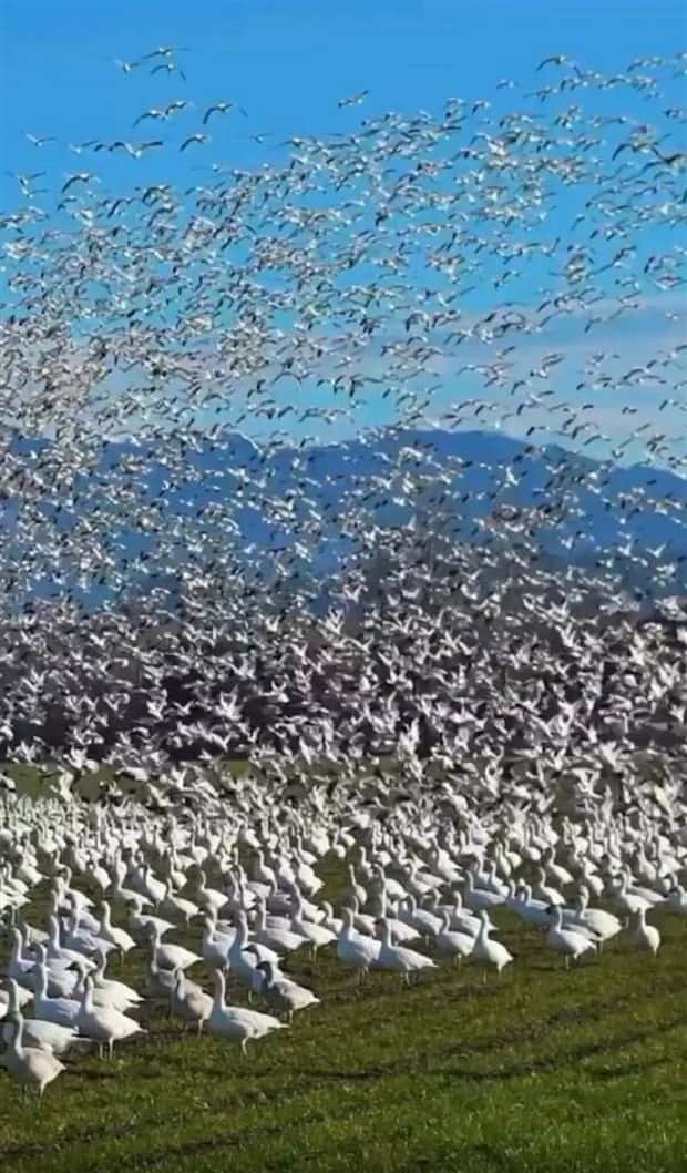 Klyker Picdump #1564 (44 photos)