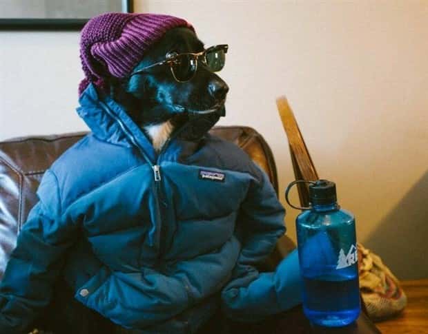 Klyker Picdump #1566 (41 photos)