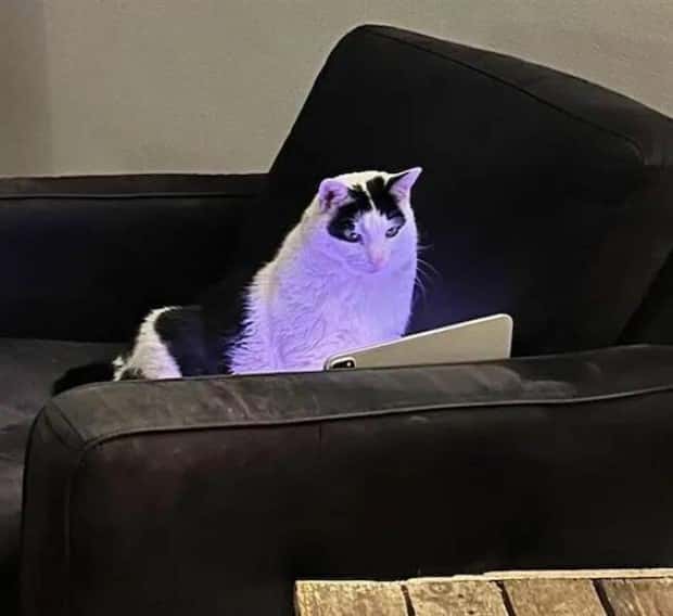 Klyker Picdump #1566 (41 photos)