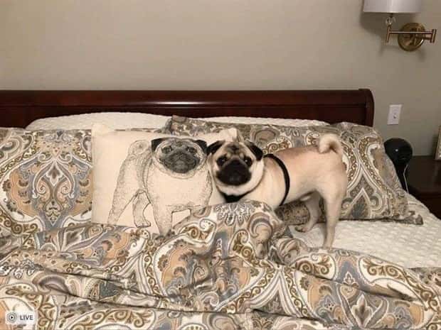 Klyker Picdump #1566 (41 photos)