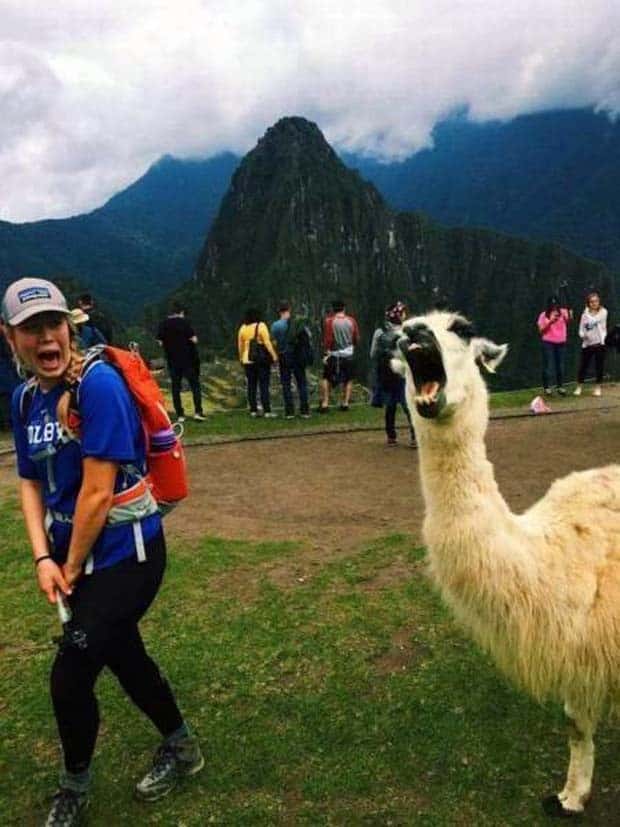 Klyker Picdump #1566 (41 photos)