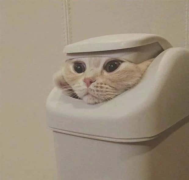 Klyker Picdump #1566 (41 photos)