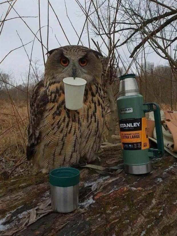 Klyker Picdump #1566 (41 photos)