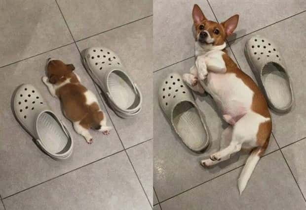 Klyker Picdump #1566 (41 photos)