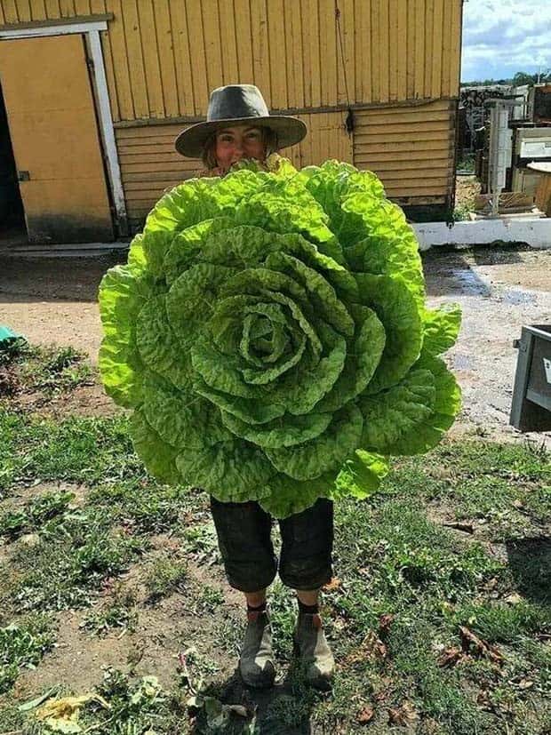 klyker picdump 10 8 2024 26 Klyker Picdump #1567 (42 photos)