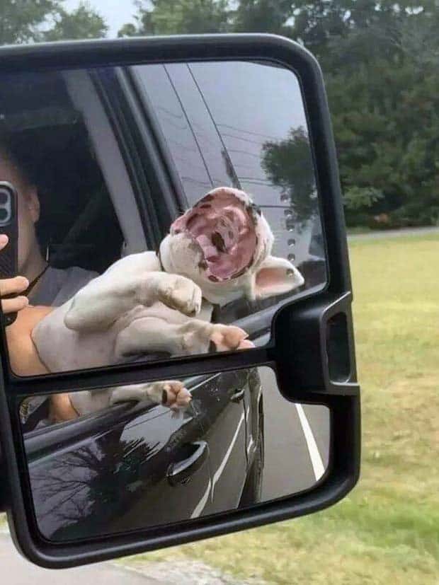 klyker picdump 10 8 2024 41 Klyker Picdump #1567 (42 photos)