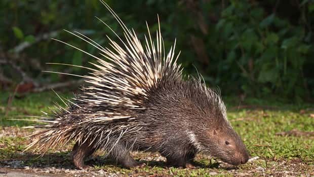 klyker picdump 10 8 2024 6 Klyker Picdump #1567 (42 photos)