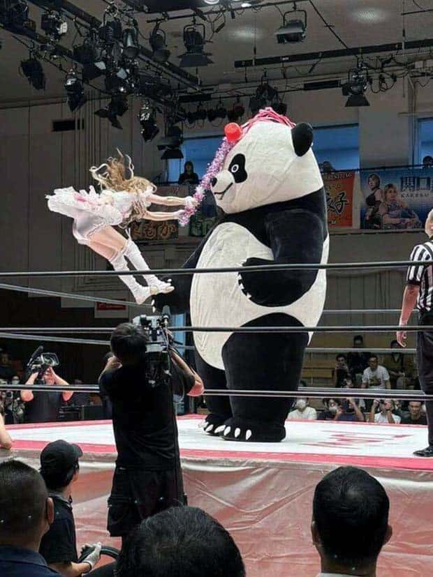 Klyker Picdump #1568 (43 photos)