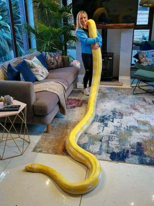 Klyker Picdump #1568 (43 photos)