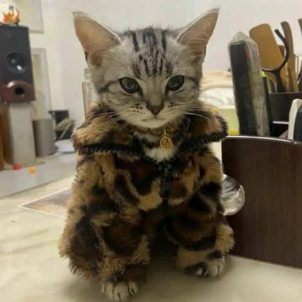 Klyker Picdump #1568 (43 photos)