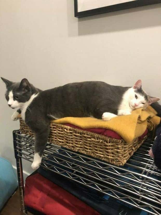 Klyker Picdump #1568 (43 photos)