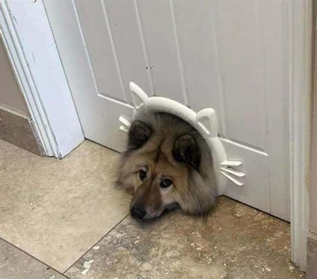 Klyker Picdump #1568 (43 photos)