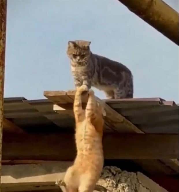 Klyker Picdump #1568 (43 photos)